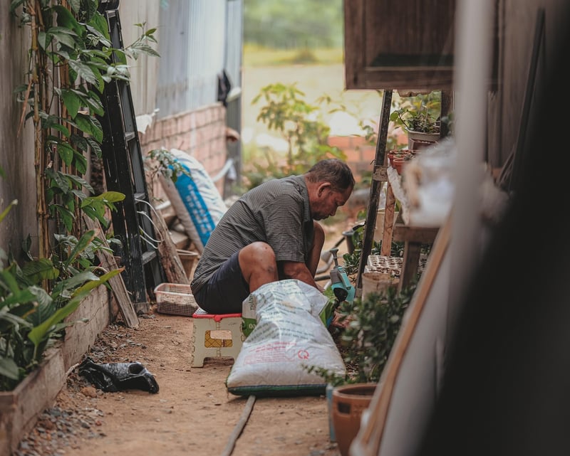 Urban Planting