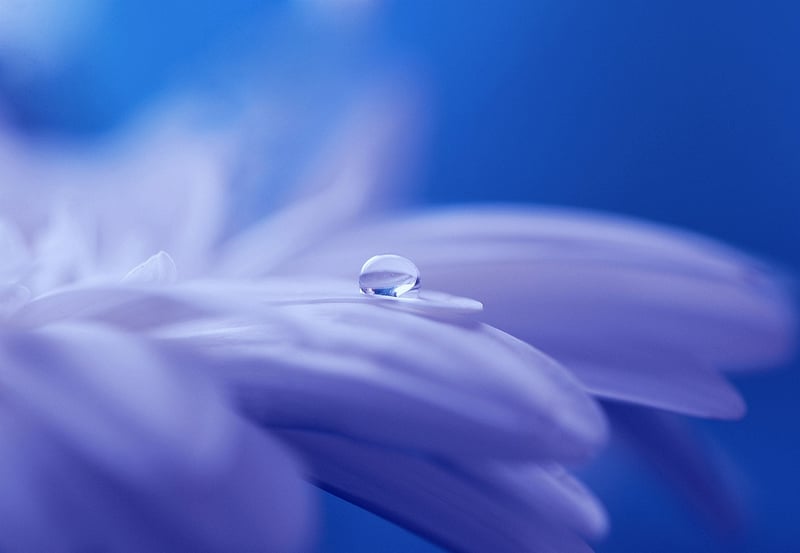 Nature's Magic